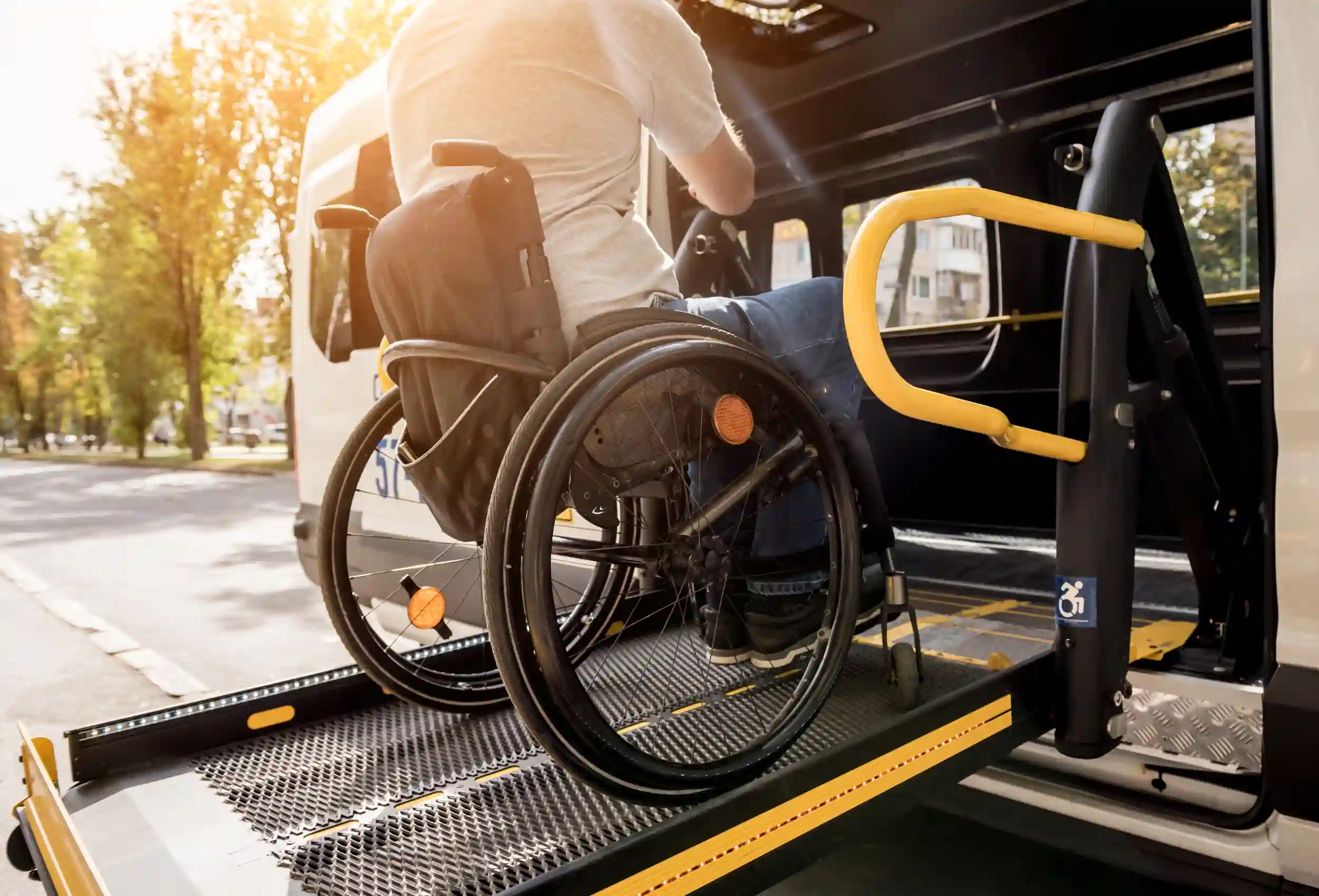 Assist in Travel and Transport